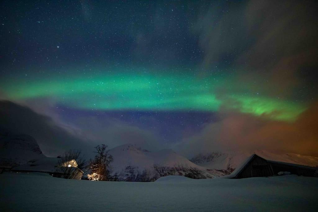 Mountainside Lodge - Breivikeidet Tromso Ngoại thất bức ảnh