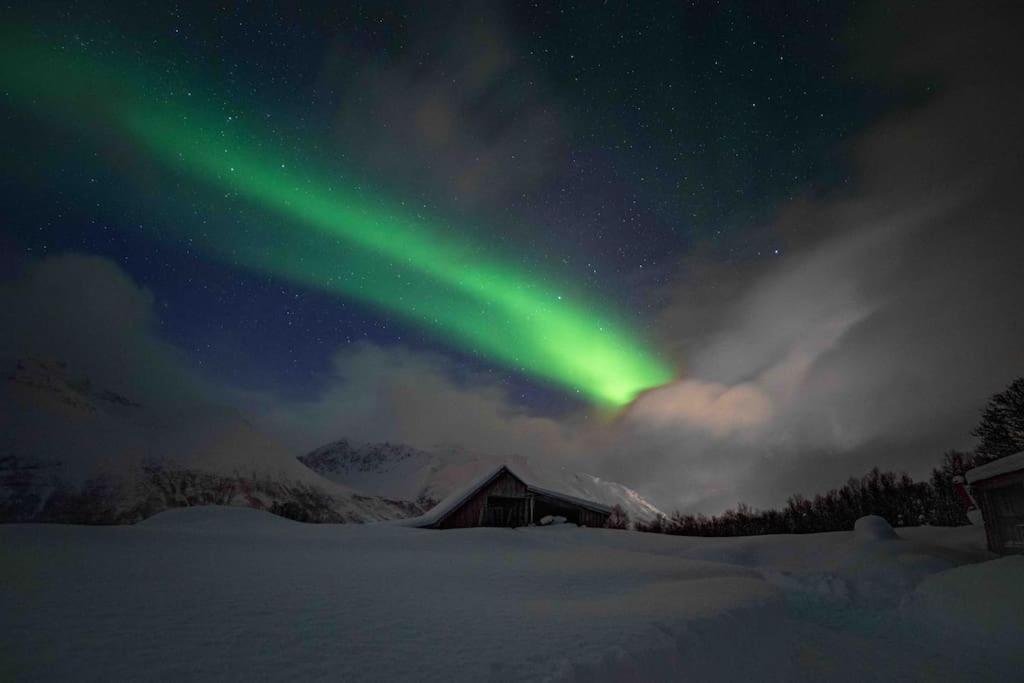 Mountainside Lodge - Breivikeidet Tromso Ngoại thất bức ảnh