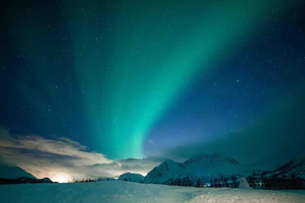 Mountainside Lodge - Breivikeidet Tromso Ngoại thất bức ảnh