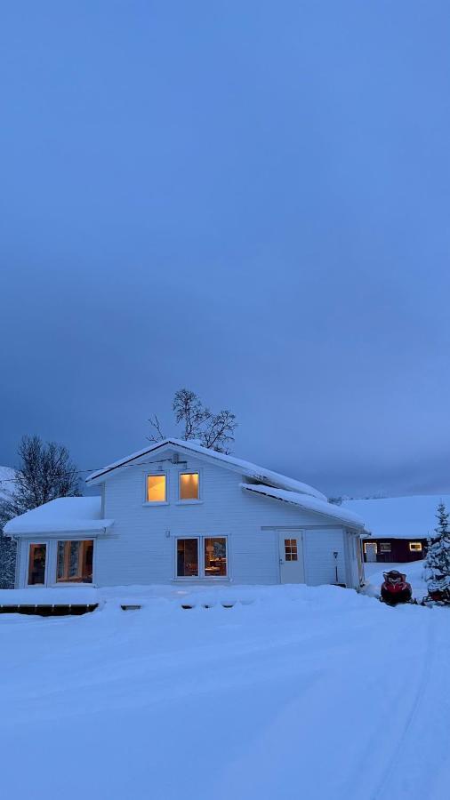 Mountainside Lodge - Breivikeidet Tromso Ngoại thất bức ảnh