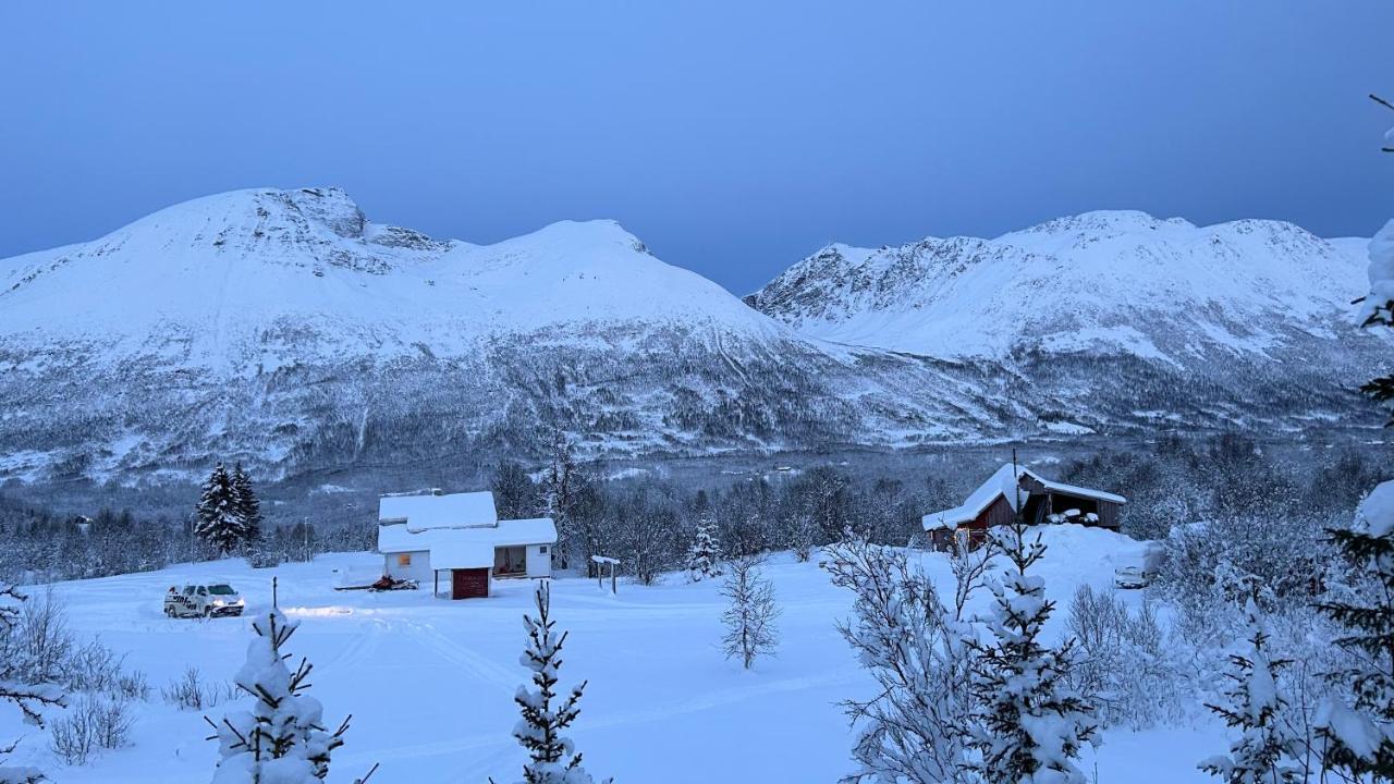 Mountainside Lodge - Breivikeidet Tromso Ngoại thất bức ảnh